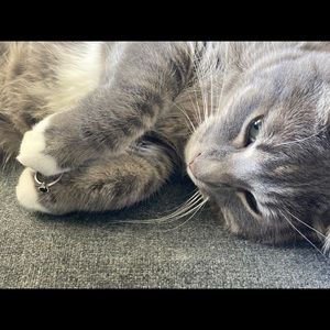 Meet your Posher, June